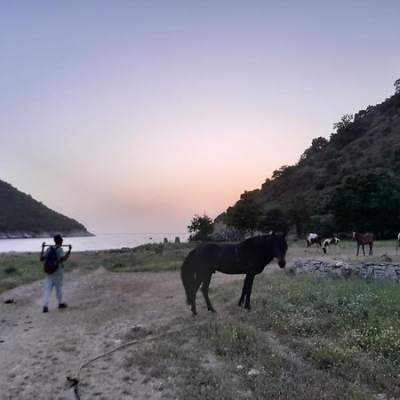 Lost Paradise Eco Camping Himare Bagian luar foto